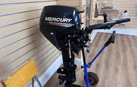 Mercury 15Hp Outboard For Sale